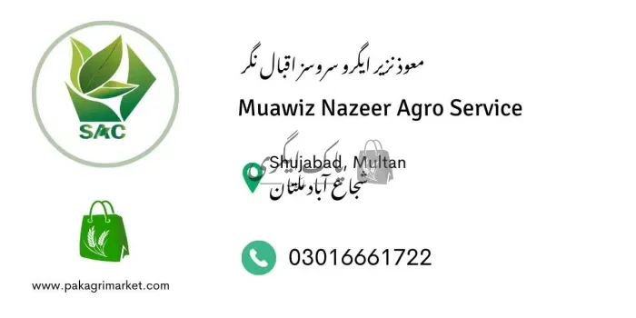 معوذ نزیر ایگرو سروسز اقبال نگر | شجاع آباد | زرعی ادویات کے ڈیلر و دوکانیں | پاک اگری مارکیٹ
