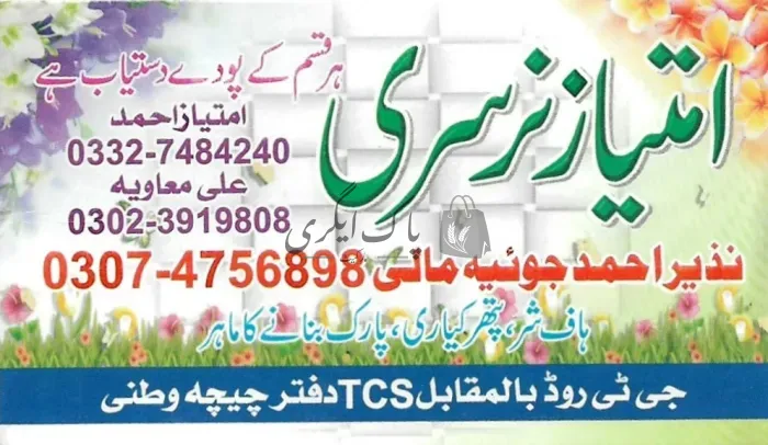 امتیاز نرسری | چیچہ وطنی | پنیری فروش، نرسریاں و لینڈ سکیپنگ سروسز | پاک اگری مارکیٹ