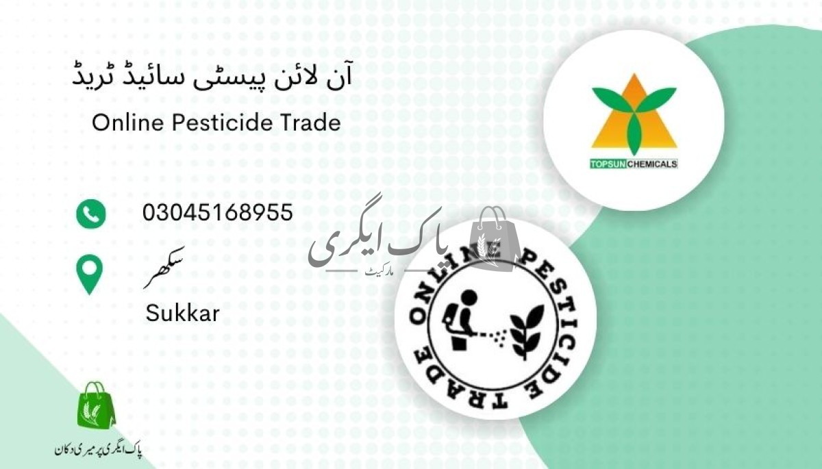 پاک اگری مارکیٹ