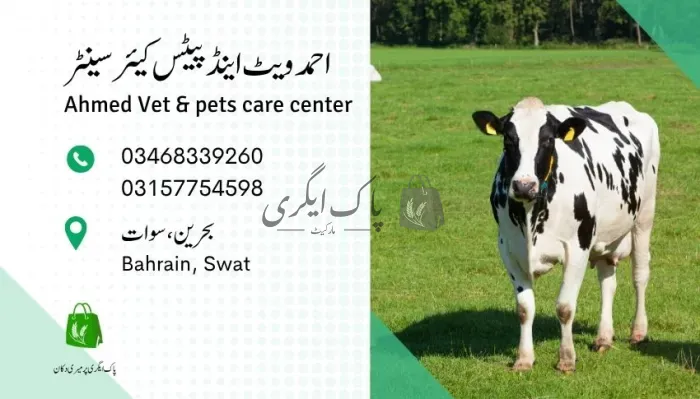 احمد ویٹ اینڈ پٹس کیئر سینٹر | سوات | ویٹرنری ڈاکٹر | پاک اگری مارکیٹ
