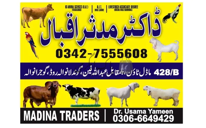 مدینہ ٹریڈرز | گوجرانوالہ | جانوروں کے فارم | پاک اگری مارکیٹ
