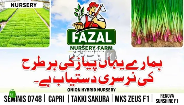 فضل نرسری فارم - صوابی | صوابی | پنیری فروش، نرسریاں و لینڈ سکیپنگ سروسز | پاک اگری مارکیٹ