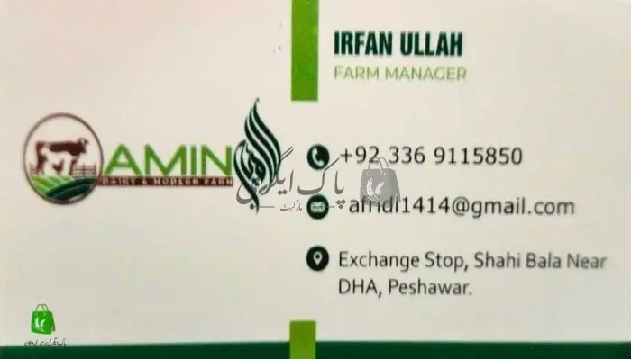 امین ڈیری فارم | پشاور | جانوروں کے فارم | پاک اگری مارکیٹ