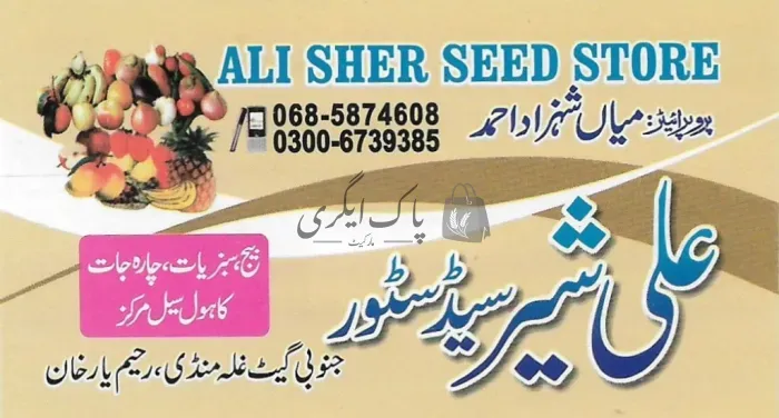 علی شیر سیڈ سٹور | رحیم یار خان | زرعی مراکز | پاک اگری مارکیٹ