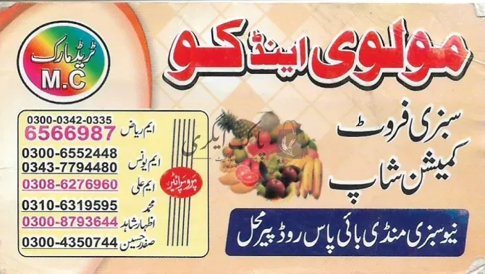 مولوی اینڈ کو | پیر محل | سبزی ایجنٹس | پاک اگری مارکیٹ