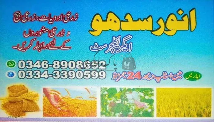 انور سندھو ایگریکلچرسٹ | سانگھڑ | زرعی مراکز | پاک اگری مارکیٹ