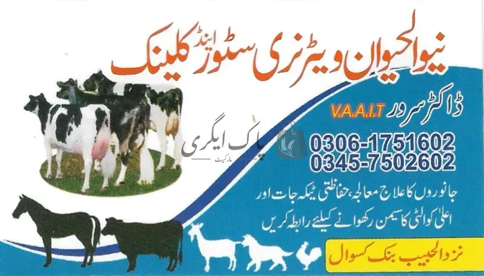 الحیوان ویٹرنری سٹور اینڈ کلینک | کسووال | ویٹرنری ڈاکٹر | پاک اگری مارکیٹ