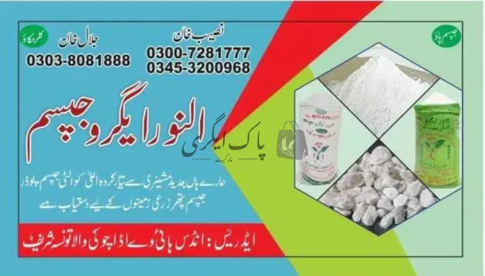 النور ایگرو جپسم | تونسہ شریف | زرعی جپسم سپلائیرز | پاک اگری مارکیٹ