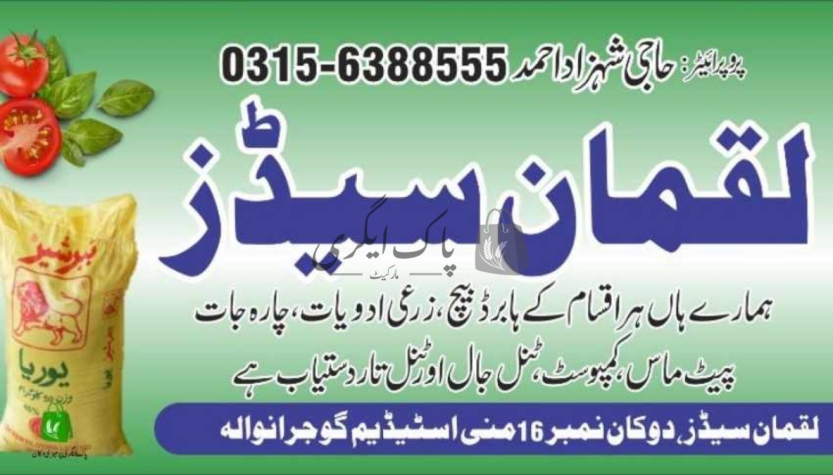 لقمان سیڈز | گوجرانوالہ | بیج کمپنیاں و امپورٹر | پاک اگری مارکیٹ