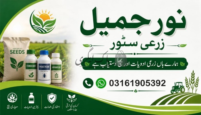نور جمیل زرعی سٹور