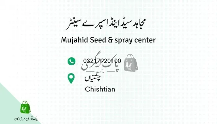 مجاہد سیڈ اینڈ اسپرے سینٹر | چشتیاں | زرعی مراکز | پاک اگری مارکیٹ