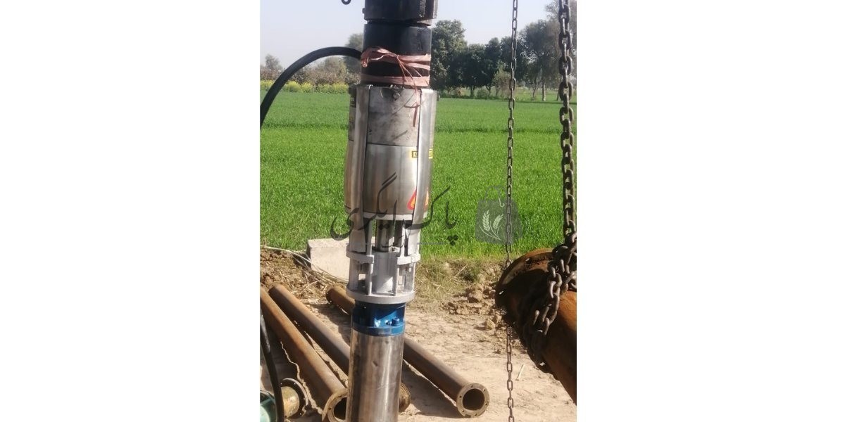 پاک اگری مارکیٹ