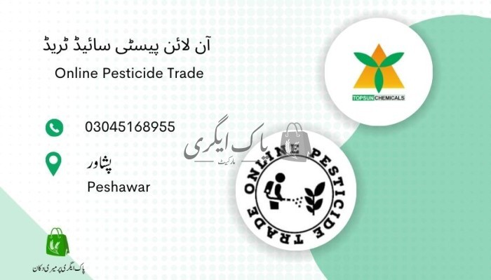 آن لائن پیسٹی سائیڈ ٹریڈ - پشاور