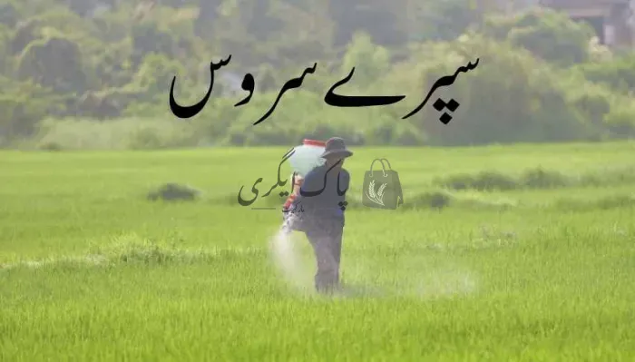 سپرے سروس | بوریوالا | سپرے مشین کی سروسز و دکانیں | پاک اگری مارکیٹ