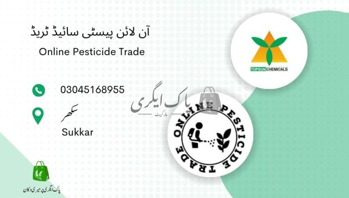 آن لائن پیسٹی سائیڈ ٹریڈ - سکھر