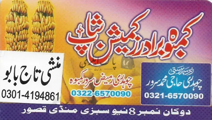 کمبوہ برادرز کمیشن شاپ | قصور | پھل کمیشن ایجنٹ | پاک اگری مارکیٹ