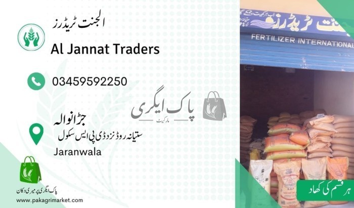 الجنت ٹریڈرز