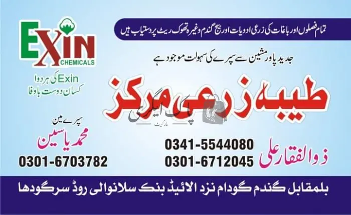 طیّبہ زرعی مرکز | سرگودھا | زرعی مراکز | پاک اگری مارکیٹ