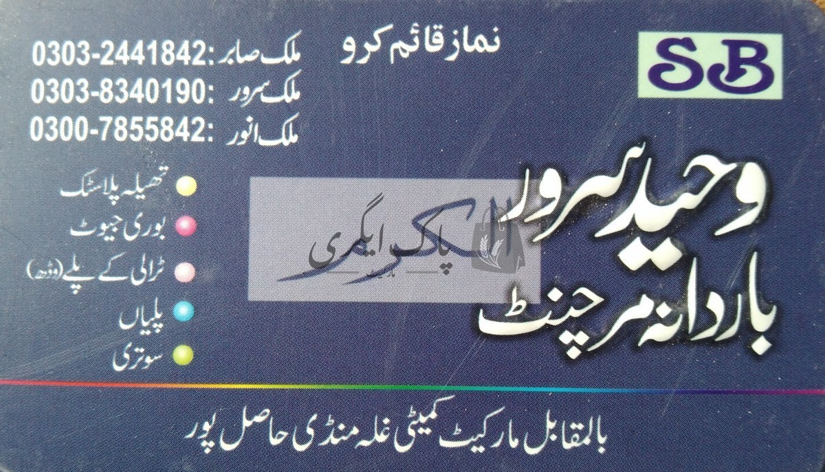 وحید سرور باردانہ مرچنٹ حاصل پور